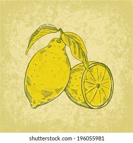 Lemon vintage template