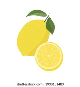 Lemon , vitamin C source. Dietetic and vegetarian food composition. Trendy vector illustration, isolated on white. Good for web and print