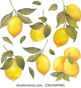 Lemon watercolor citrus yellow summer green leaves sour sea fruit food healthy natural juicy orange raw antioxidant symbol beauty print poster card postcard fresh diet beautiful hand drawn element art