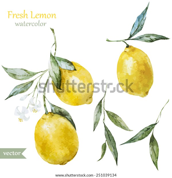 レモン 水色 フルーツ 絵 のベクター画像素材 ロイヤリティフリー
