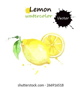 Lemon, Watercolor Painting On White Background, Vector Illustration