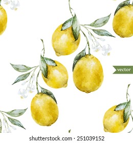 Lemon, Watercolor, Pattern, Background, Fruit, Wallpaper