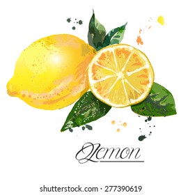 lemon watercolor - vector illustration