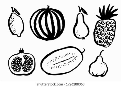 Lemon, watermelon, pear, pomegranate, pineapple, melon vector sketch illustrations isolated on white background. Fruit icons set for logotype, infographic, website or app, package, menu design.