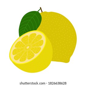 Lemon whole and cut in half. Isolated fruit on white background. Vector illustration.