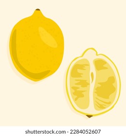 Lemon whole and cut in half. Vector food icons. Useful fruit.