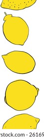 Lemon whole fruit seamless vertical border isolated on transparent background. Vector graphic line ink illustration. art for food design, recipe, cook book, packages, menu, food ads and decor


