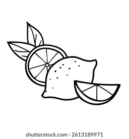 Lemon whole Fruit and Slices Composition. Hand drawn Vector doodle illustration of Citrus. Black and White line art isolated on a white background. For product packaging, menu, logos.