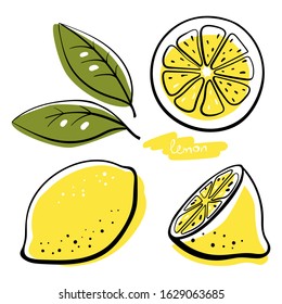 Lemon, whole, half, slice and leaves. Colorful sketch collection of citrus fruits isolated on white background. Doodle hand drawn vegetables. Vector illustration