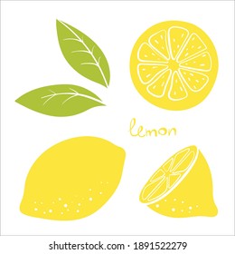 Lemon, whole, half, slice and leaves. Colorful sketch collection of citrus fruits isolated on white background. Doodle hand drawn vegetables. Vector illustration