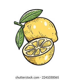 Lemon whole and slice hand drawn sketch style vector illustration.