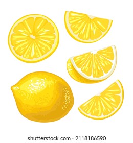 Lemon whole and slice. Isolated on white background. Vector color realistic illustration.