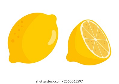 Lemon whole and slice. Vector illustration of fresh citrus fruit. Isolated on white background