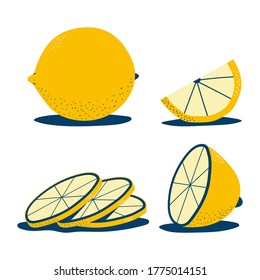 Lemon whole and sliced vector set isolated on white background.