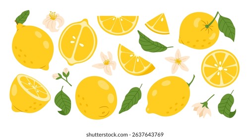Lemon. Yellow citrus fruit. Cartoon whole lemons, sliced halves, lemon pieces and wedges, green leaves, flowers. Fresh juicy plant food for lemonade, vitamin C, juice. Vector set.
