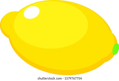 Lemon yellow fresh citrus vector