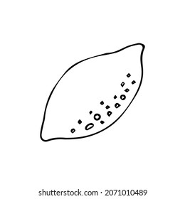 Lemon. Yellow fruit. Color illustration. Sticker. Doodle style. Isolated on a white background. Hand drawn. For labels, food packaging design