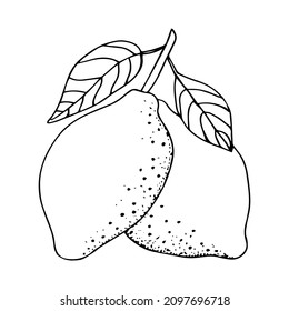 Lemon. Yellow fruit. Color illustration. Sticker. Doodle style. Isolated on a white background. Hand drawn. For labels, food packaging design