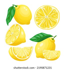 lemon yellow fruit set cartoon. fresh citrus, leaf food, slice cut, green leaves, lemonade lemon yellow fruit vector illustration