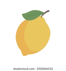 Lemon yellow fruit slice illustration