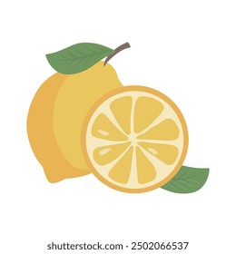 Lemon yellow fruit slice illustration