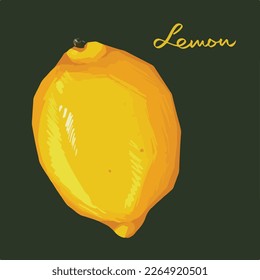 Lemon yellow fruit sour vector illustration isolated on dark square template background. Digital painted food drawing with simple flat art style.