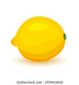 lemon yellow isolated on white background. Wind illustration of juicy ripe uncut lemon. Vector illustration