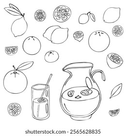 Lemonade doodle set. Various citrus fruits, oranges, mandarines, lemons, limes, a glass jug with lemonade. Black hand-drawn contour isolated on a white background. Menus, coloring, web design, print