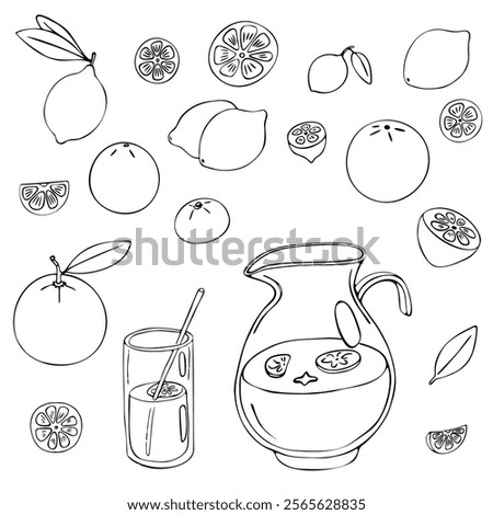 Lemonade doodle set. Various citrus fruits, oranges, mandarines, lemons, limes, a glass jug with lemonade. Black hand-drawn contour isolated on a white background. Menus, coloring, web design, print