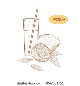 Lemonade. Drink. Lemon and a glass with a straw. Sketch. Monochrome. On a white background