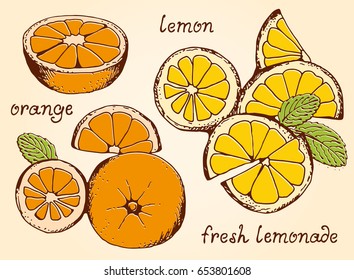 Lemonade ingredients vector set, summer lemons and oranges set
