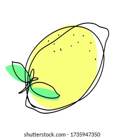 Lemonade Lemon Mint Doodle Line Art Stock Vector (Royalty Free ...