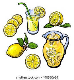 lemonade with lemon in a transparent jug, vector sketch hand-drawn illustration isolated on white background, cut the lemon juice and lemonade in a glass and fresh cold juice