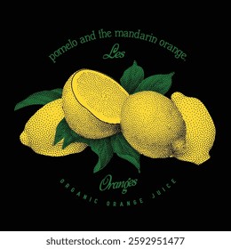 Lemonade les Oranges. Limoncello vector graphic, graphic tee artwork for food fashion mood, vintage grunge orange fruit print design 