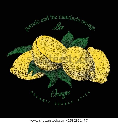 Lemonade les Oranges. Limoncello vector graphic, graphic tee artwork for food fashion mood, vintage grunge orange fruit print design 