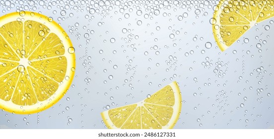 lemonade made from lemon slices and sparkling water with bubbles