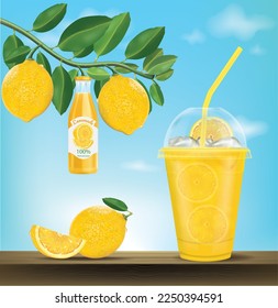 Lemonade in a plastic glass with a branch of a lemon with a lemon and a bottle of lemon