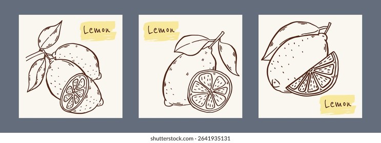 Lemonade Trendy posters set. Tag Design template with hand drawn illustration in doodle style. Lemon drink label concept with text. Background for branding, AD, package.