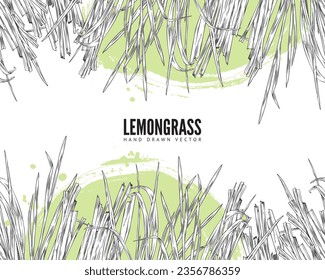 Lemongrasbanner oder Rahmendesign für panasisches Essen, Vintage-Gravierstil-Vektorgrafik einzeln auf weißem Hintergrund. Rasengras-Duftgras-Banner-Design.