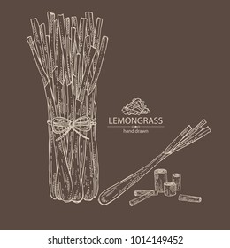 Lemongrass: bunch, plant and dry lemongrass,. Vector hand drawn illustration.