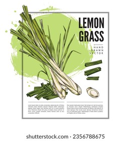 Tarjeta Lemongrass o plantilla de etiqueta alimenticia en ilustración vectorial de estilo de esbozo grabado. Tarjeta Lemongrass o plantilla de antecedentes para medicamentos y envases de alimentos.