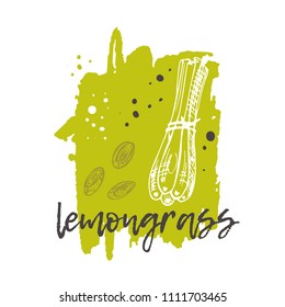 Lemongrass concept design. Hand drawn vector illustration. Herbs and spices. Can be used for farmers market, food festival, menu, cafe, restaurant, bar, poster, banner, emblem, sticker, placard.