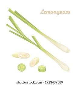 Lemongrass green stems and slices isolated on white background. Vector illustration of fragrant herbs, spices in cartoon flat style.