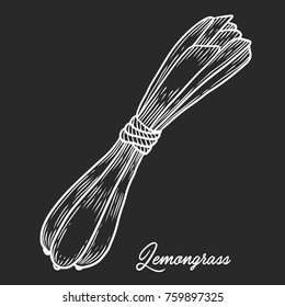 Lemongrass herb spice leaves, a bunch of herb, hand drawn vector sketch illustration