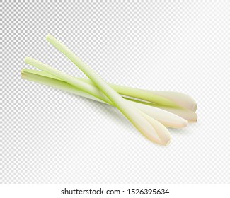 Citronnelle Images Stock Photos Vectors Shutterstock