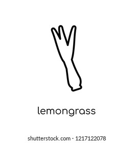Lemongrass icon. Trendy modern flat linear vector Lemongrass icon on white background from thin line nature collection, editable outline stroke vector illustration