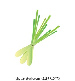 Lemongrass illustration icon template free vector