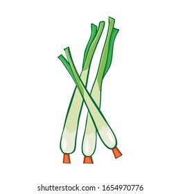 lemongrass isolated illustration on white background