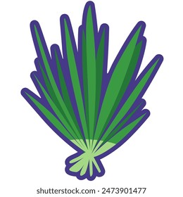 Lemongrass leaf vegetable cartoon icon, lemon grass green leaves vector illustration, cymbopogon citratus, sereh or serai dapur image, salai or balioko, healthy green leafy vegetables