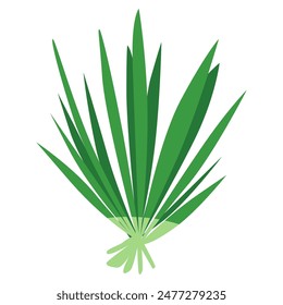 Lemongrass leaf vegetable in flat design style, lemon grass green leaves icon vector illustration, cymbopogon citratus, sereh or serai dapur image, salai or balioko, healthy green leafy vegetables
